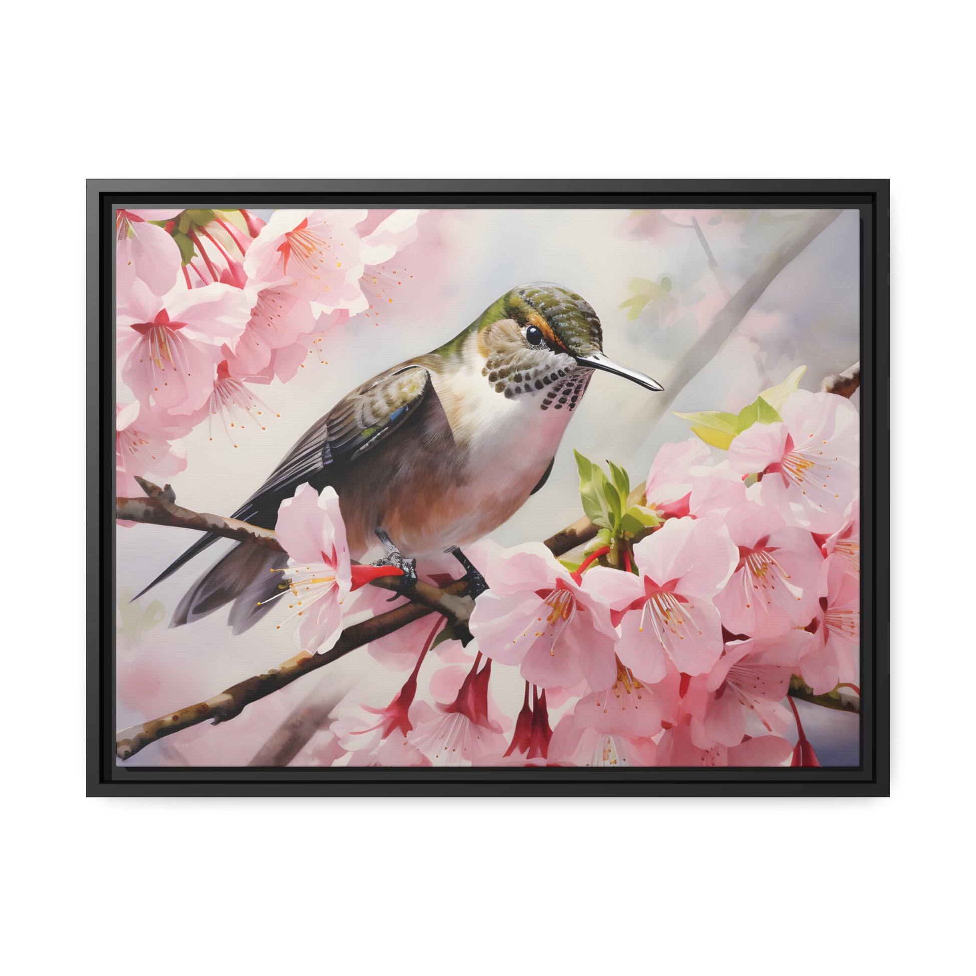 Framed Canvas Artwork Humming Bird Amongst Cherry Blossoms Floating Frame Canvas Artwork