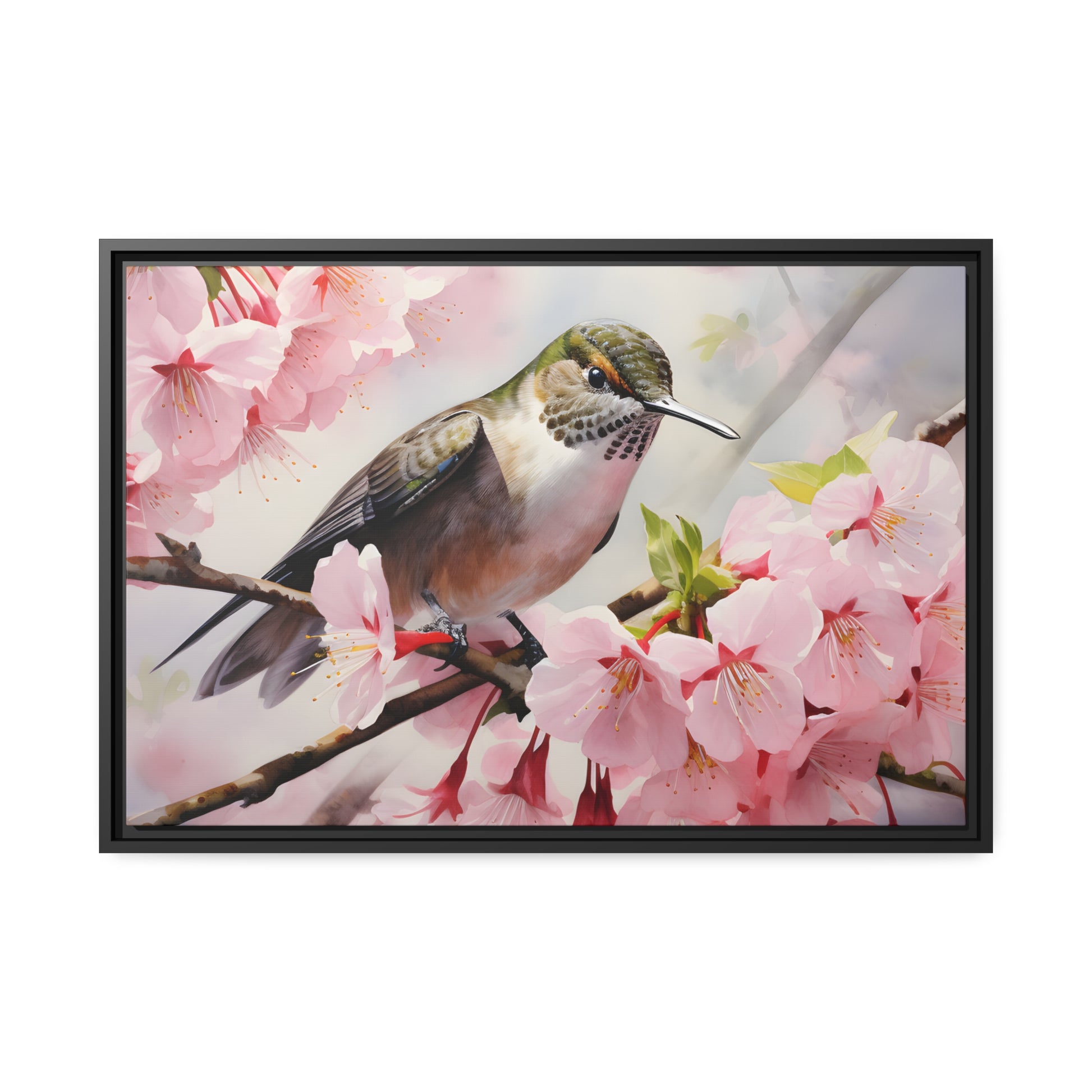 Framed Canvas Artwork Humming Bird Amongst Cherry Blossoms Floating Frame Canvas Artwork