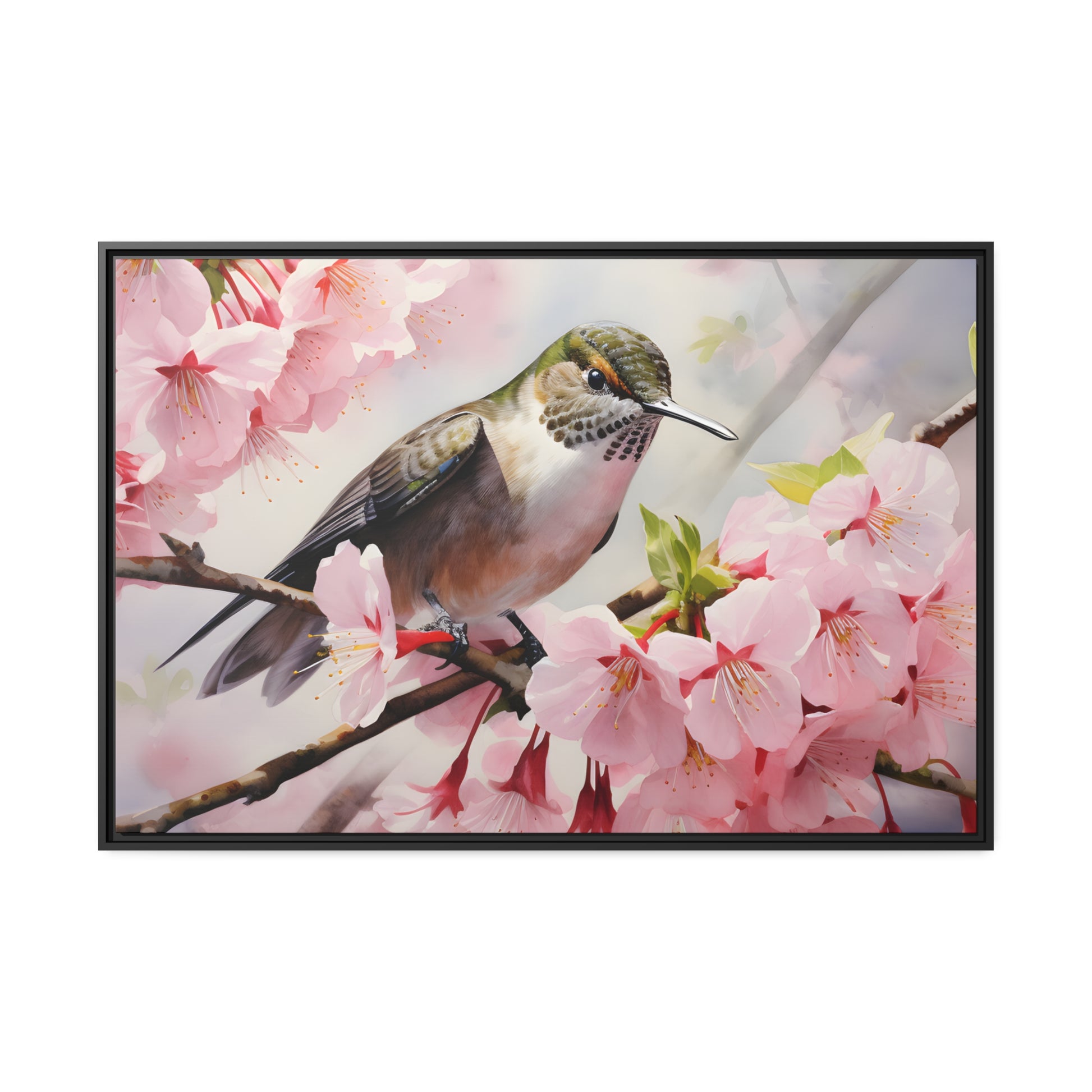 Framed Canvas Artwork Humming Bird Amongst Cherry Blossoms Floating Frame Canvas Artwork