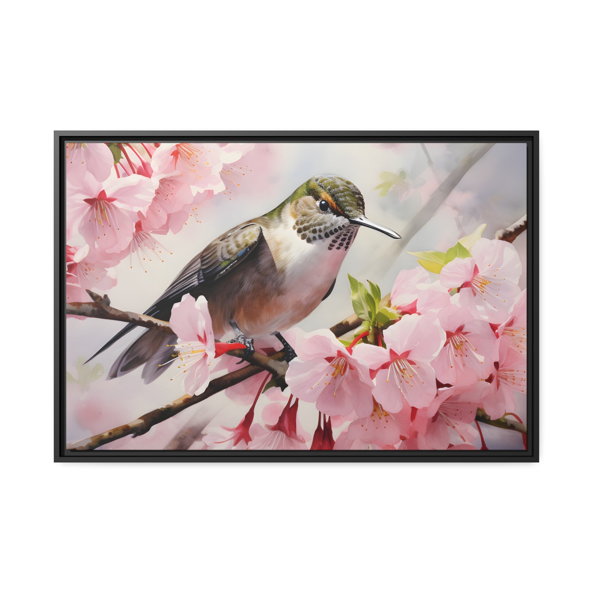Framed Canvas Artwork Humming Bird Amongst Cherry Blossoms Floating Frame Canvas Artwork